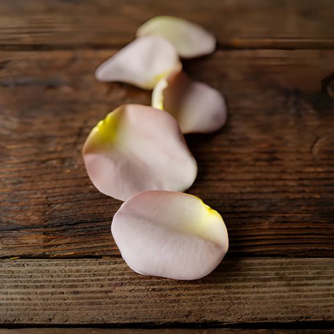 Grey Knights Dried Flower Petals