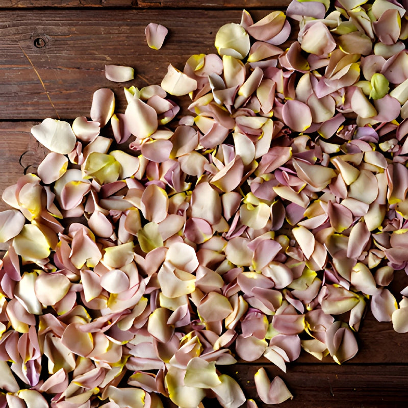 Bulk Dried Rose Petals Grey Knights