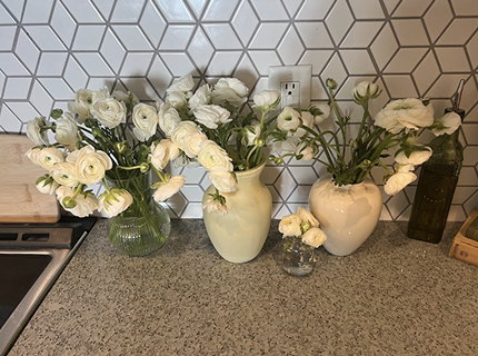 Image for page: Submit a Claim