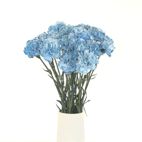 Guadalupe Vase - Image