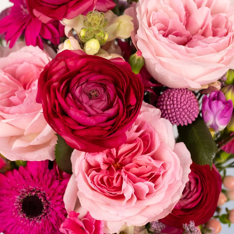 Gummy Pink Flower Bouquet Bar Close Up - Image