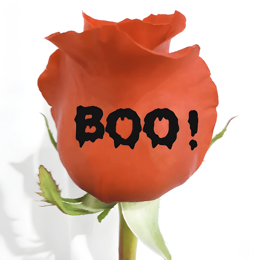 Halloween Boo! Personalized Roses