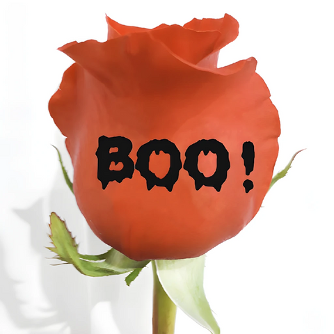 Halloween Boo Personalized Roses Close Up - Image