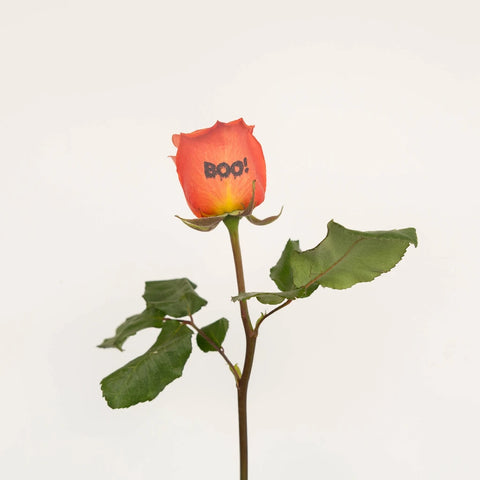 Halloween Boo! Personalized Roses Stem - Image