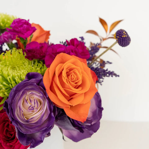 Halloween Hocus Pocus Diy Flower Kit Close Up - Image