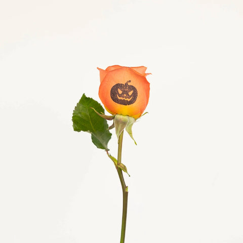 Halloween Jack O Lantern Personalized Roses Stem - Image