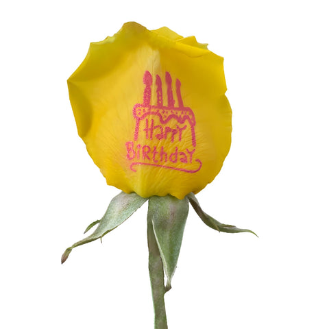 Happy Birthday Personalized Roses Close Up - Image