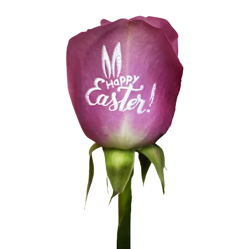 Happy Easter Personalized Roses Close Up - Image