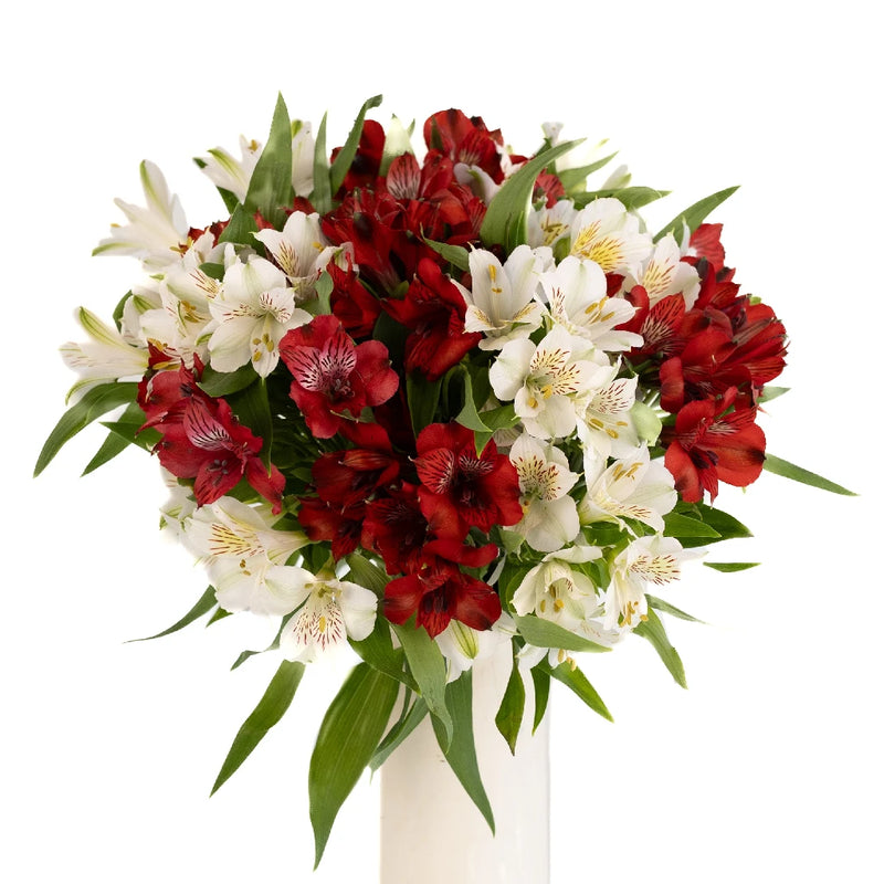 Happy Holiday Flower Package Alstroemeria Stem - Image