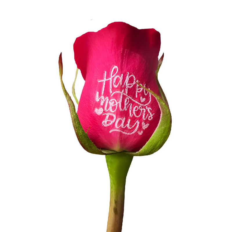 Happy Mothers Day Personalized Roses Close Up - Image