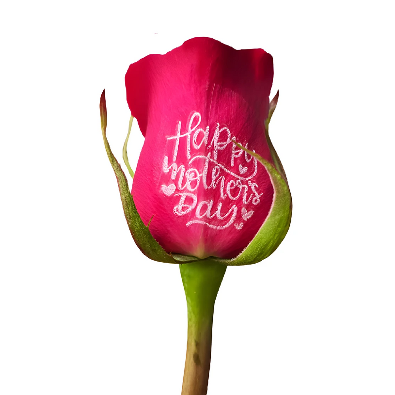 Buy Wholesale Happy Mothers Day Personalized Roses in Bulk - FiftyF Buy Wholesale Happy Mothers Day Personalized Roses in Bulk - FiftyF