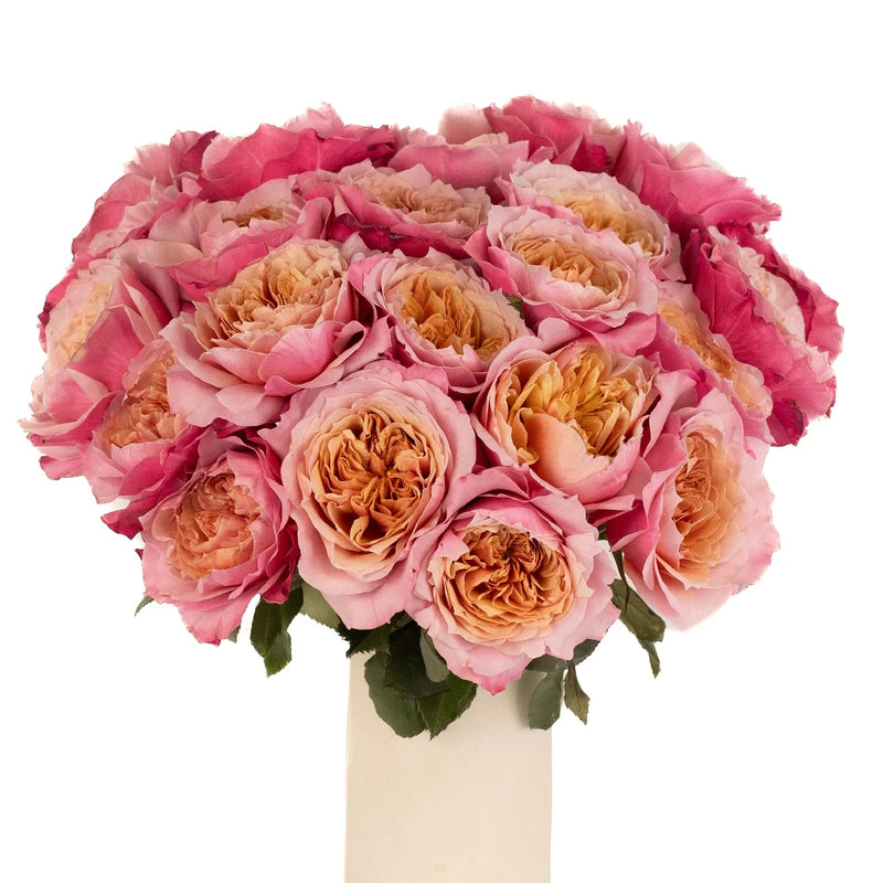 Heart's Desire Garden Rose Vase - Image