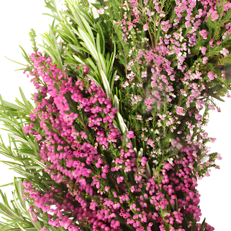Fresh Heather and Rosemary Wreaths
