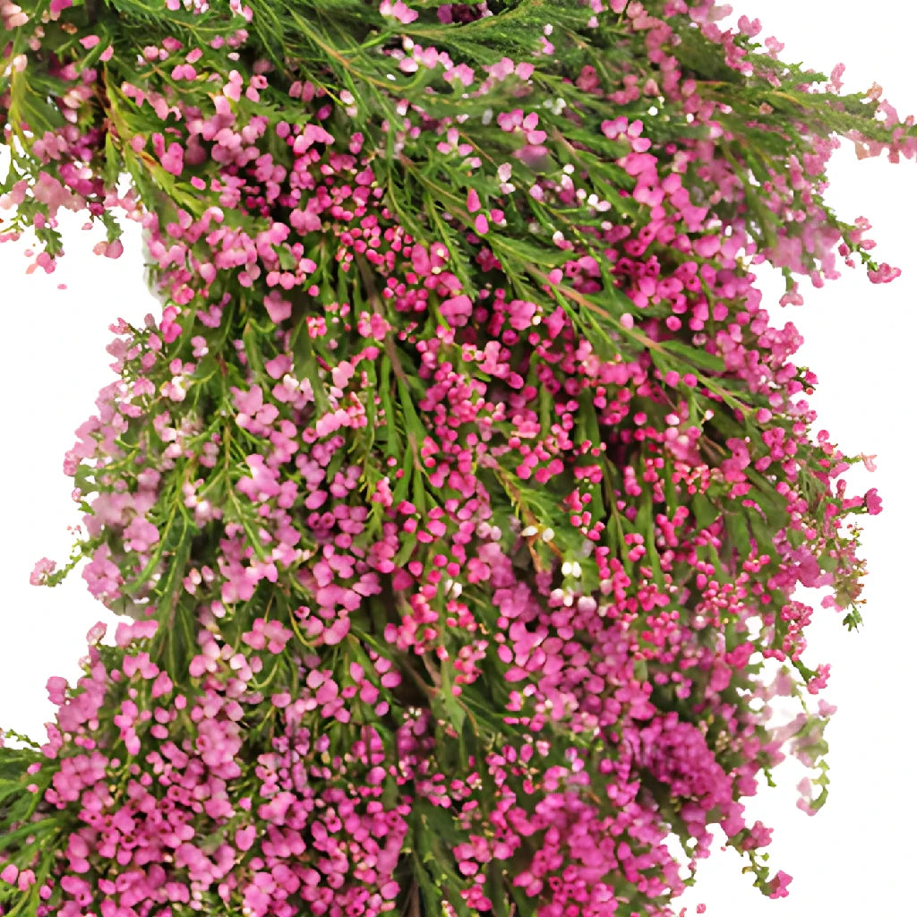 FiftyFlowers Heather Wreath - Thumbnail 2