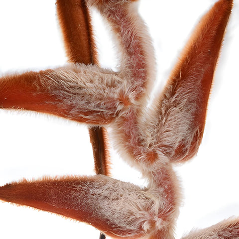 Plush Hanging Heliconia Flower