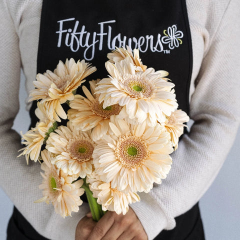 Hint Of Blush Gerbera Apron - Image