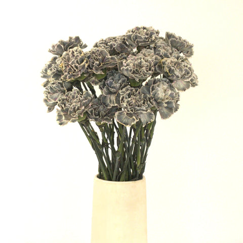 Hint Of Gray Industrial Carnation Flowers Vase - Image
