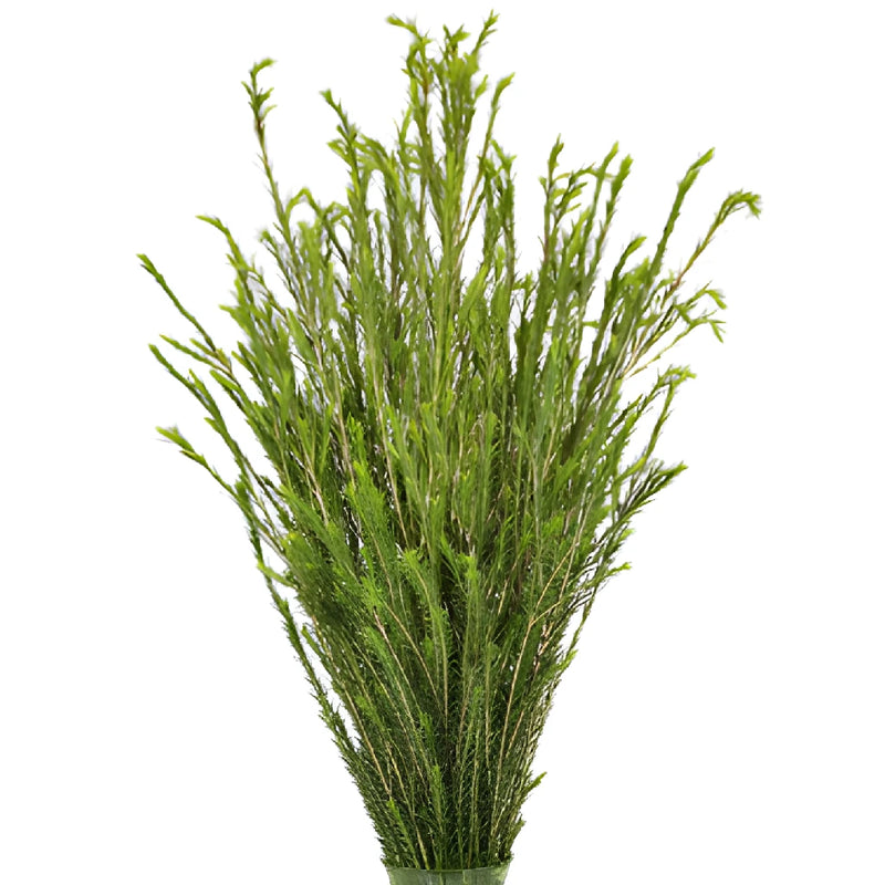 Wholesale greenery honey bracelet filler flowers bunch sold as bulk