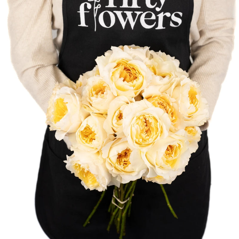 Honeybee David Austin Beatrice Garden Rose Apron - Image