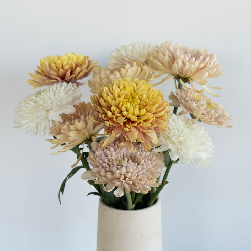 Honeycomb Chrysanthemum Flower Kit Stem - Image