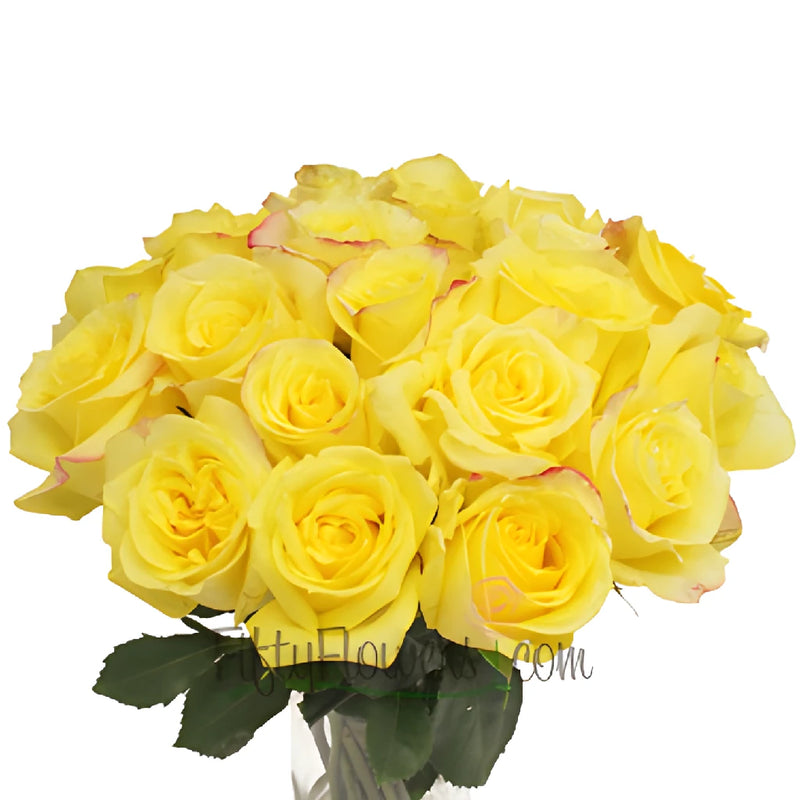 Hot Merengue Wholesale Roses In A Vase