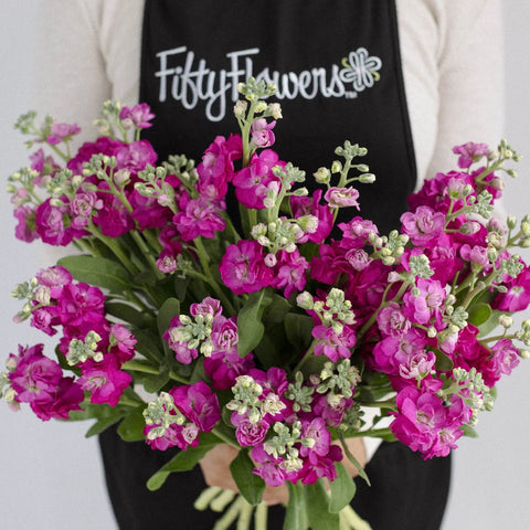 Hot Pink Bulk Spray Stock Flower Apron - Image