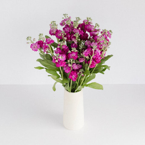 Hot Pink Bulk Spray Stock Flower Vase - Image