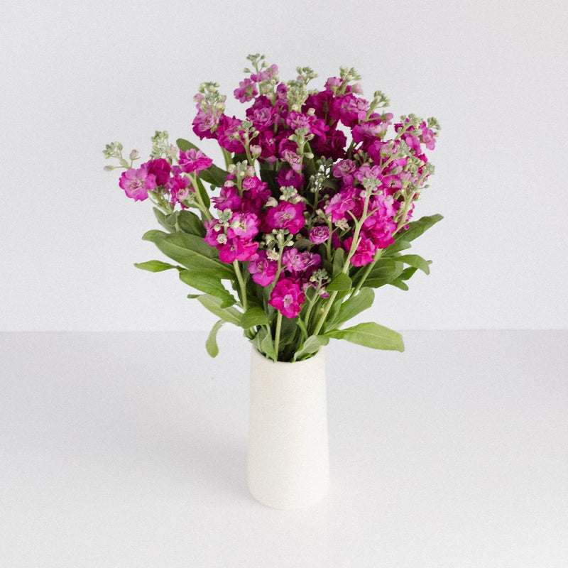 Hot Pink Bulk Spray Stock Flower Vase - Image