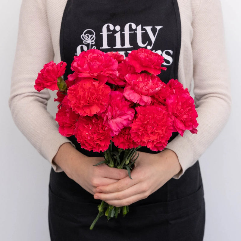 Hot Pink Carnations Valentines Day Special Apron - Image