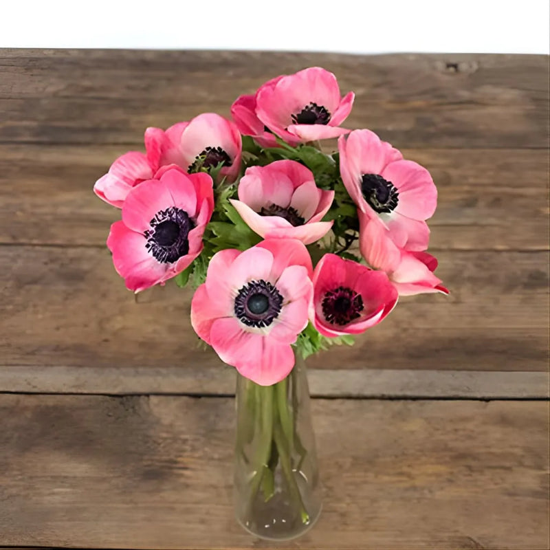 Hot Pink Fresh Cut Anemones