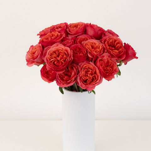 Hot Pink Garden Rose Vase - Image