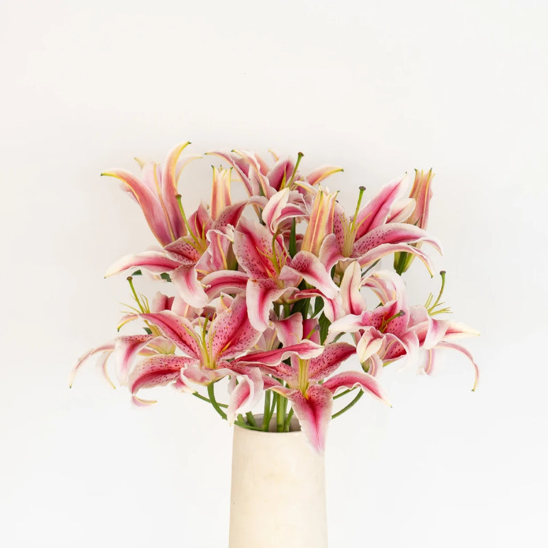 Hot Pink Oriental Lilies Vase - Image