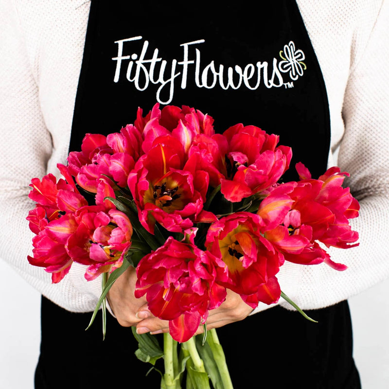 Hot Pink Parrot Tulip Flower Bunch in Hand