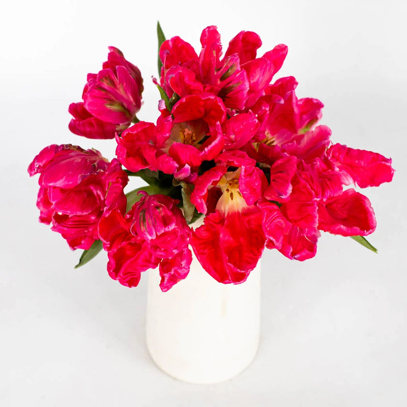 Hot Pink Parrot Tulip Flower Bunch in Vase