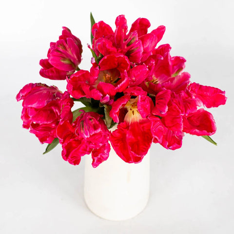 Hot Pink Parrot Tulip Flower Bunch in Vase