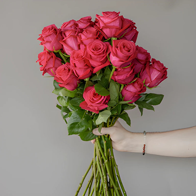 Grace Kelly Hot Pink Roses