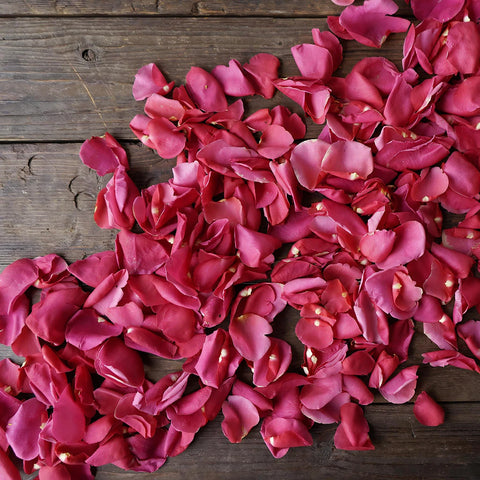 Hot Pink Rose Petals for sale