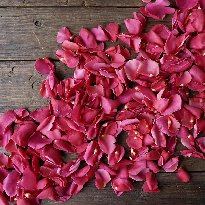 Hot Pink Rose Petals for sale