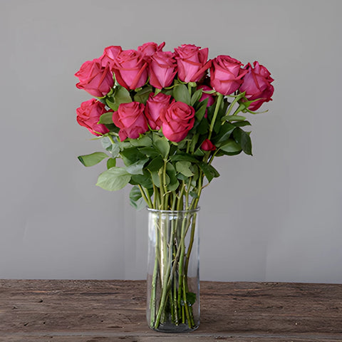 Grace Kelly Hot Pink Roses