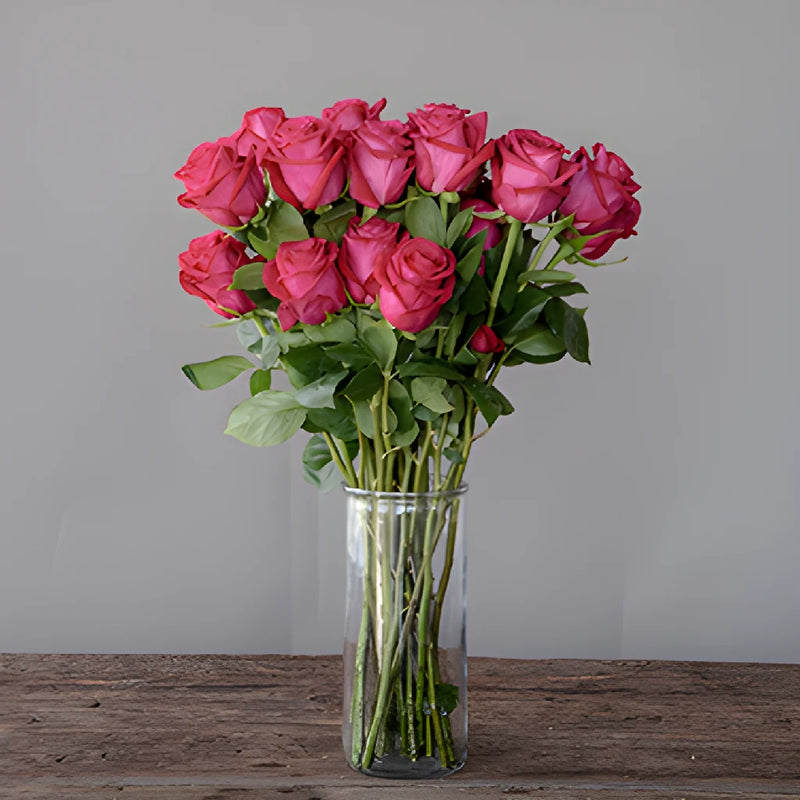 Grace Kelly Hot Pink Roses