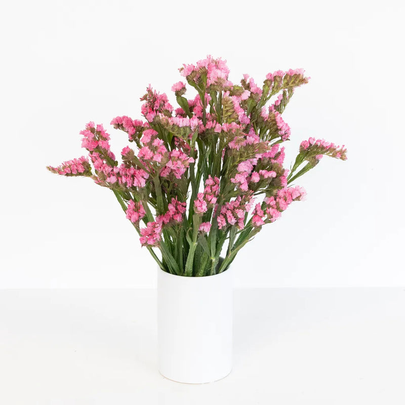 Hot Pink Tissue Culture Statice Flower Vase - Image