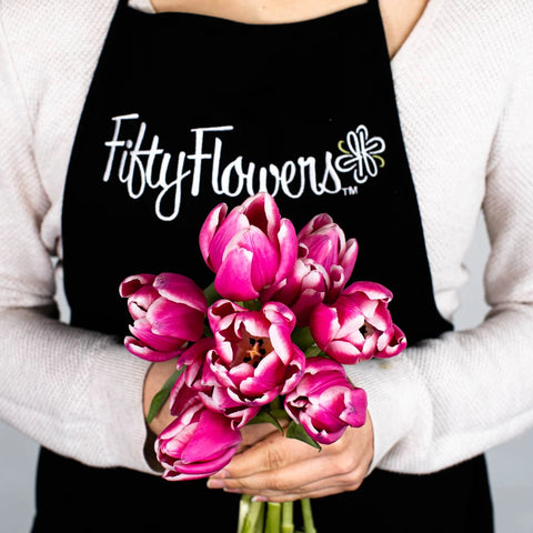 Hot Pink Tulip Flower Bunch in Hand