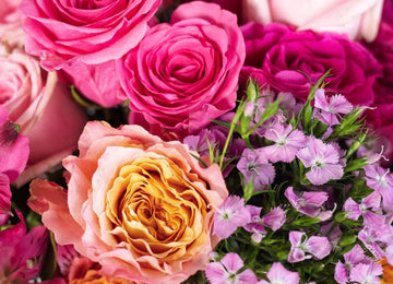 Hot Popping Pink Wedding Diy Combo Close Up - Image