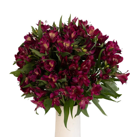 Hot Raspberry Alstroemeria Flowers Vase - Image