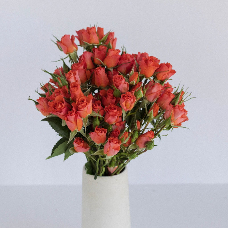 Hot Salmon Orange Petite Rose Vase - Image