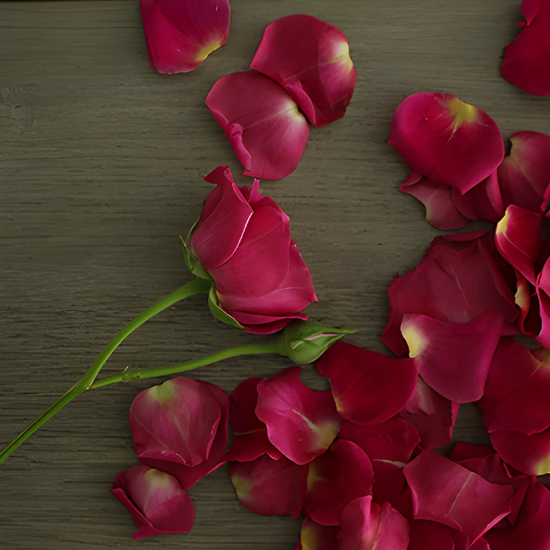 Hot Majolika hot pink Rose Bunch