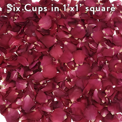 Red dried Roses Petals