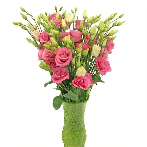 Hues of Pink Bulk Lisianthus Flower