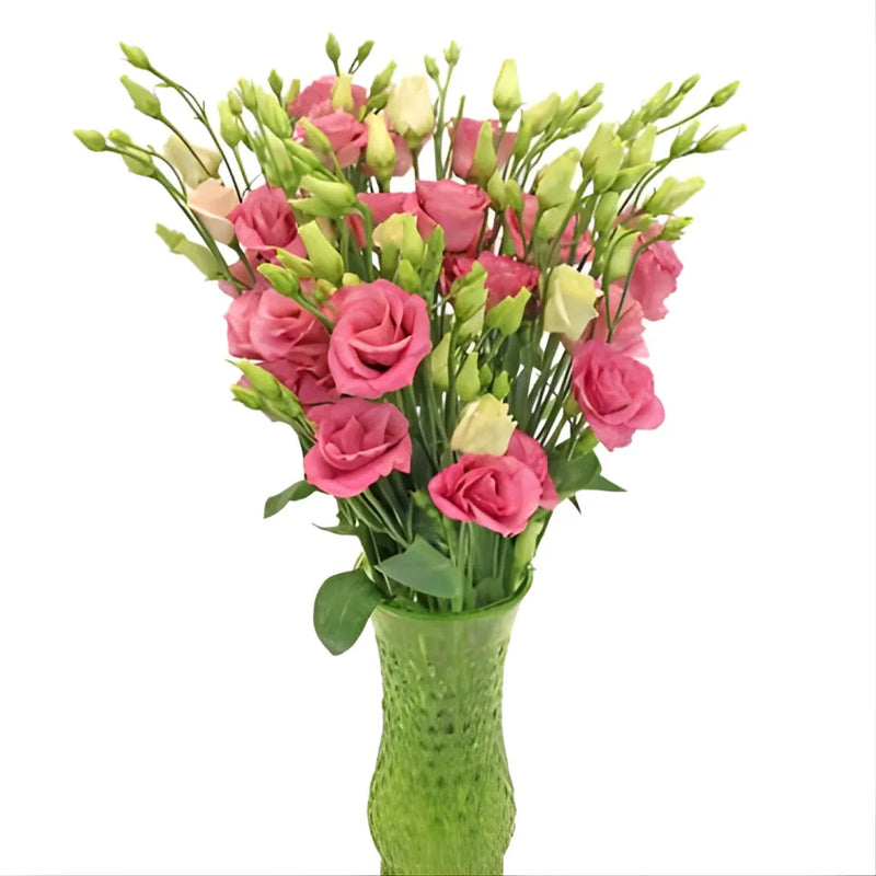 Hues of Pink Bulk Lisianthus Flower