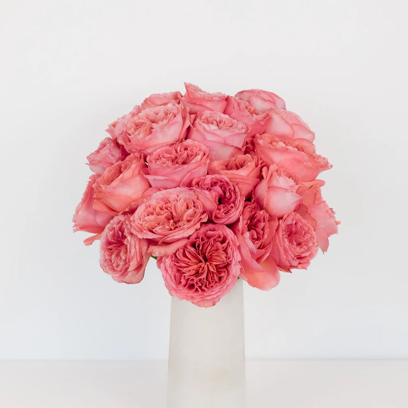 Hues Of Pink Garden Rose Wholesale Vase - Image